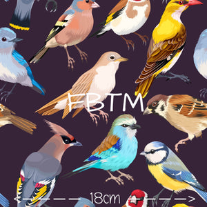 THEME #26 - Little Birds