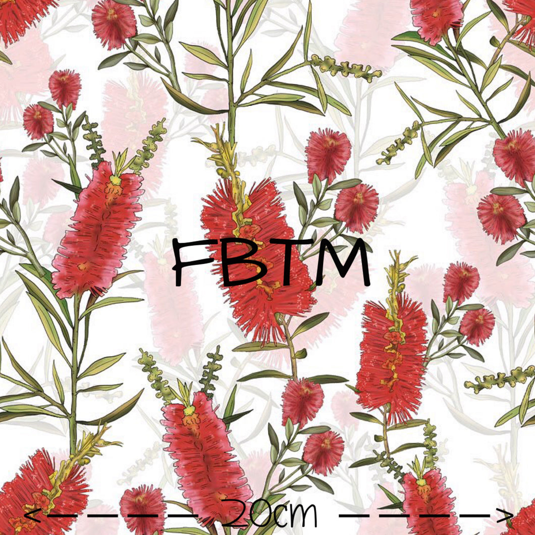 ROUND 36 - Exclusive Bottlebrush (CANVAS)